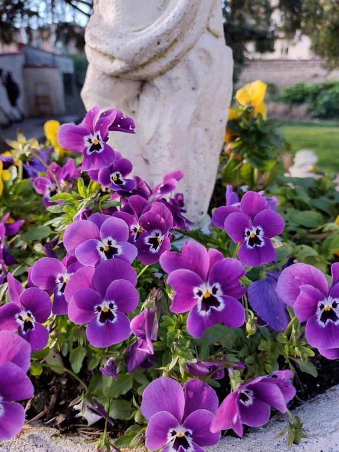 Villa Lilli 2 Ferrara Dış mekan fotoğraf